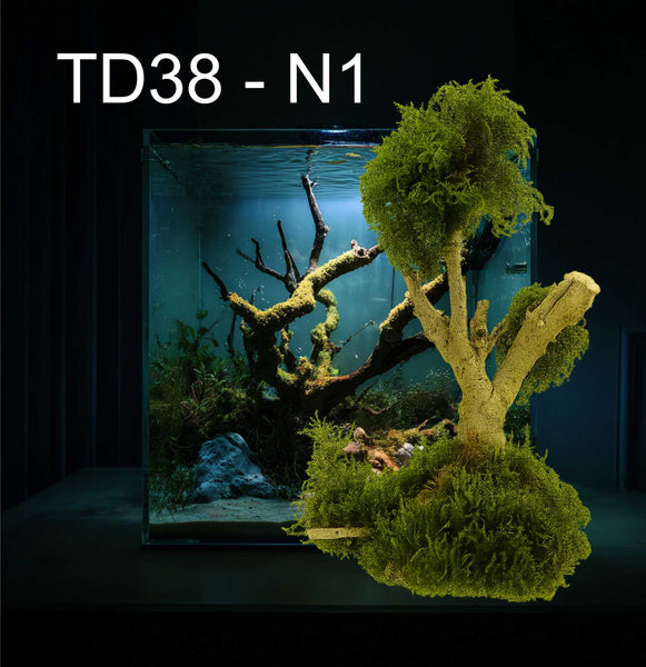 Natural Moss & Willow Decor – Loved by Fish, Shrimp & Reptiles